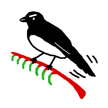 Perth Mahjong Society Mascot: Willie Wagtail on Kangaroo Paw.